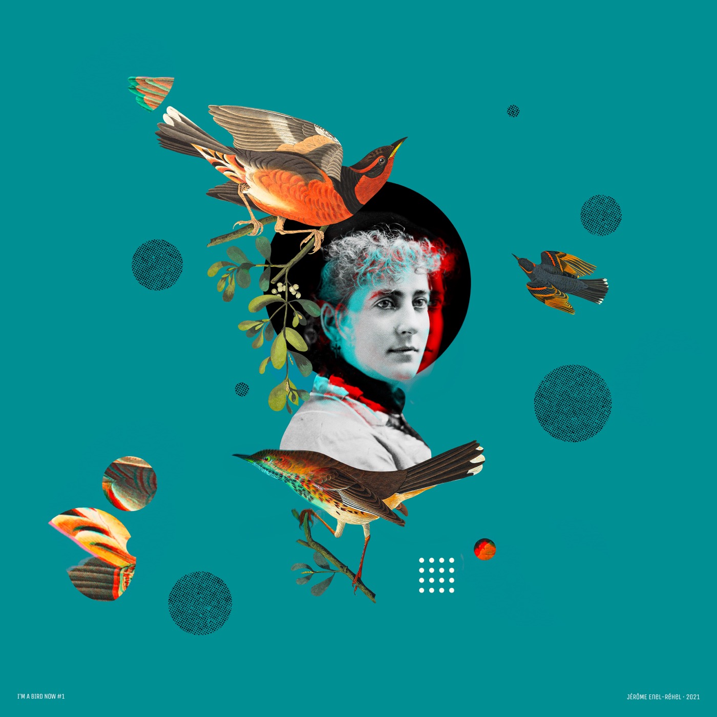 I'm a bird now – Étude 1