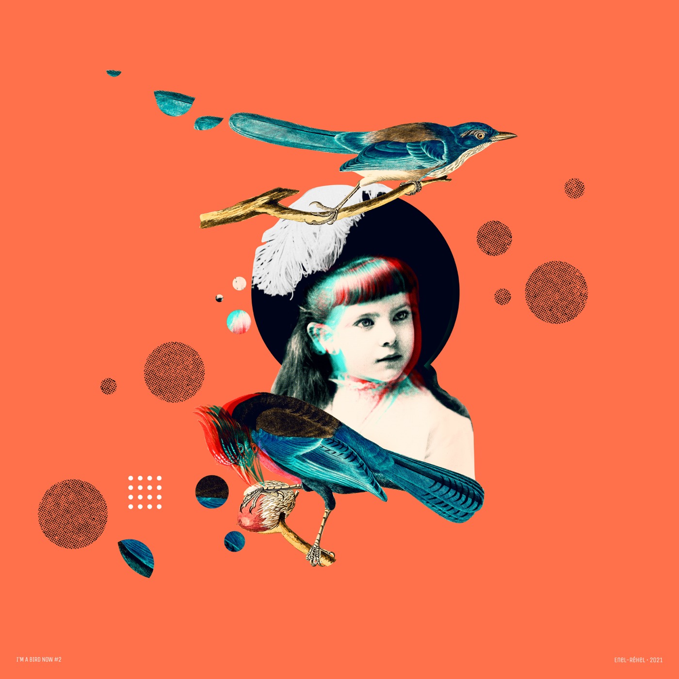 I'm a bird now – Étude 2