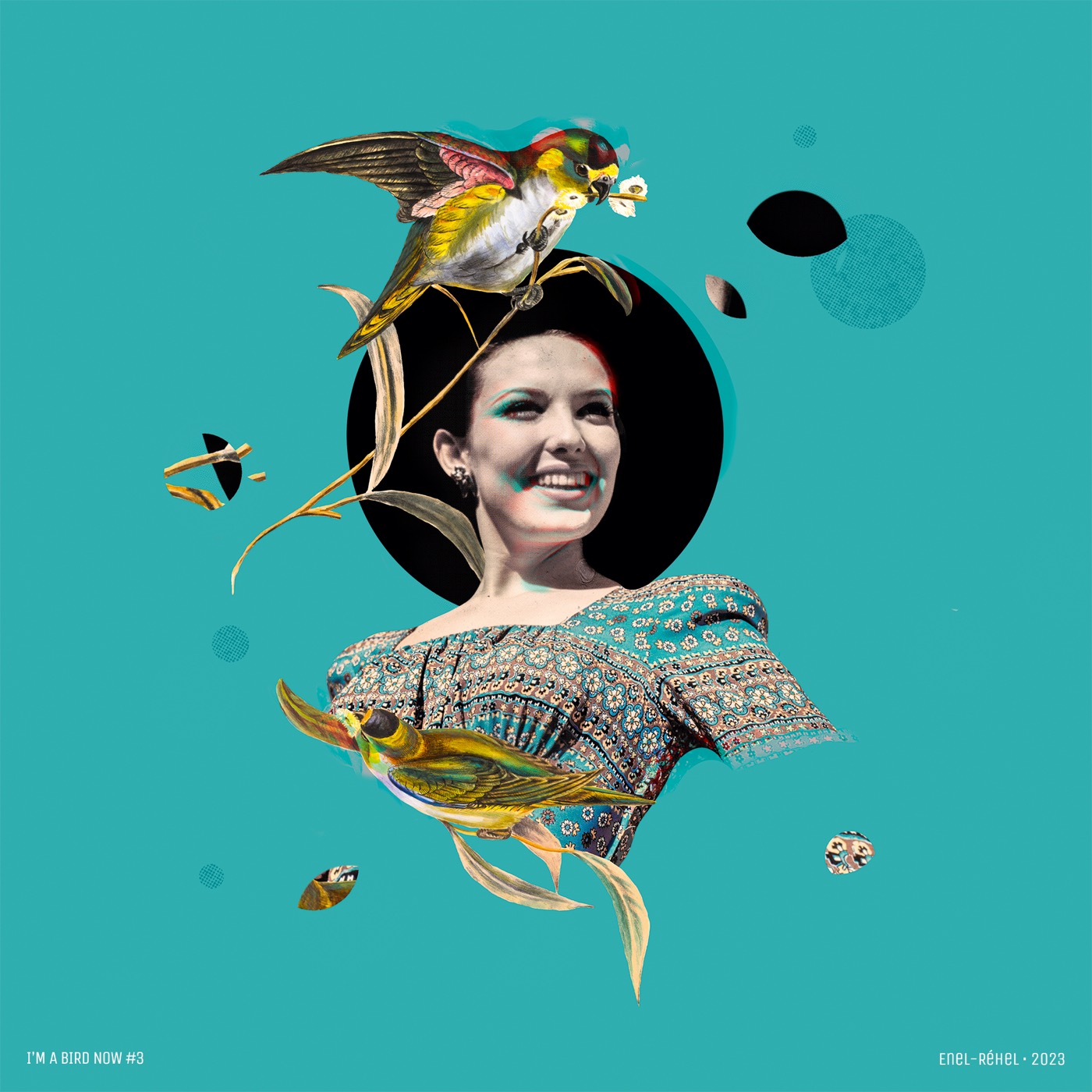 I'm a bird now – Étude 3