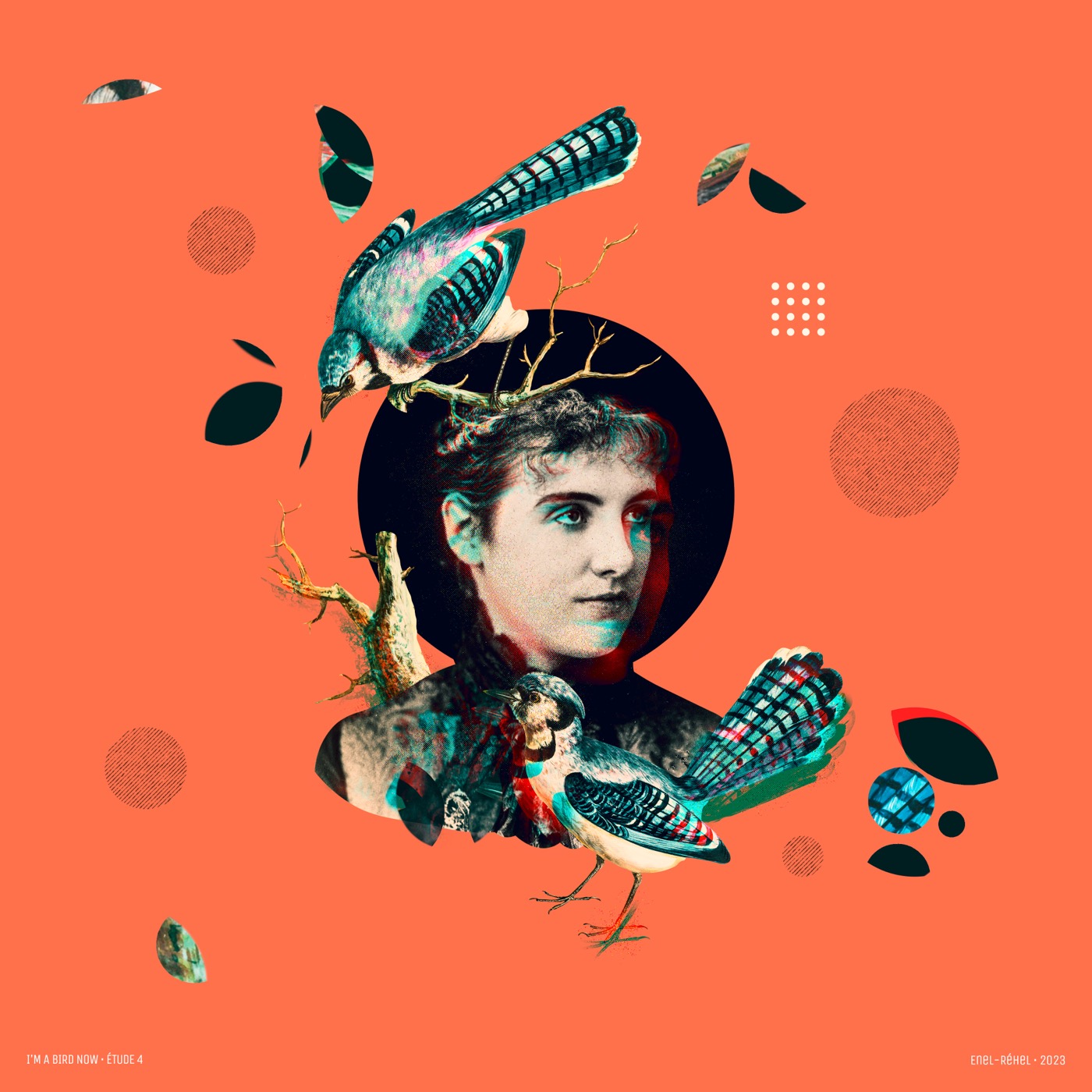 I'm a bird now – Étude 4