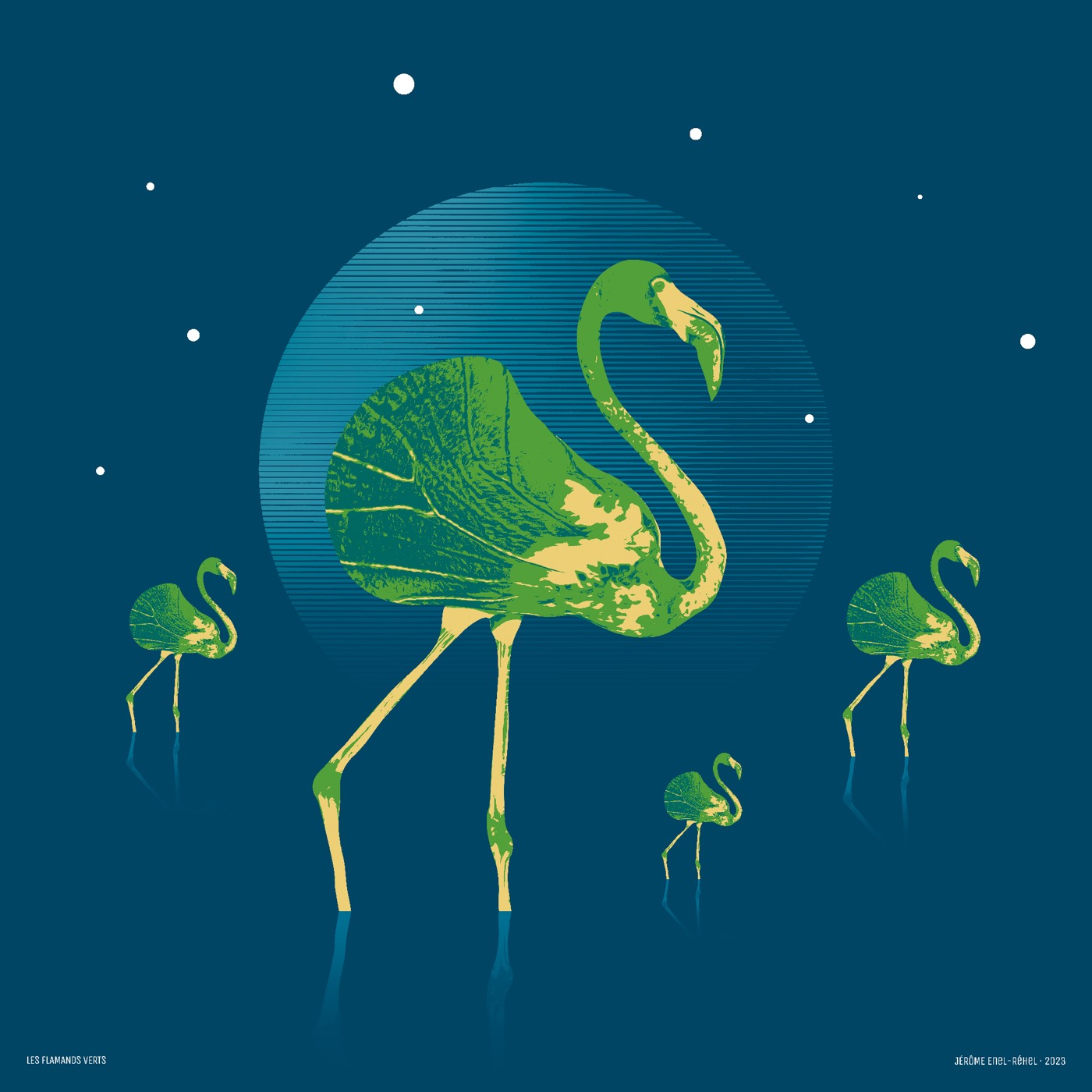 Les flamands verts
