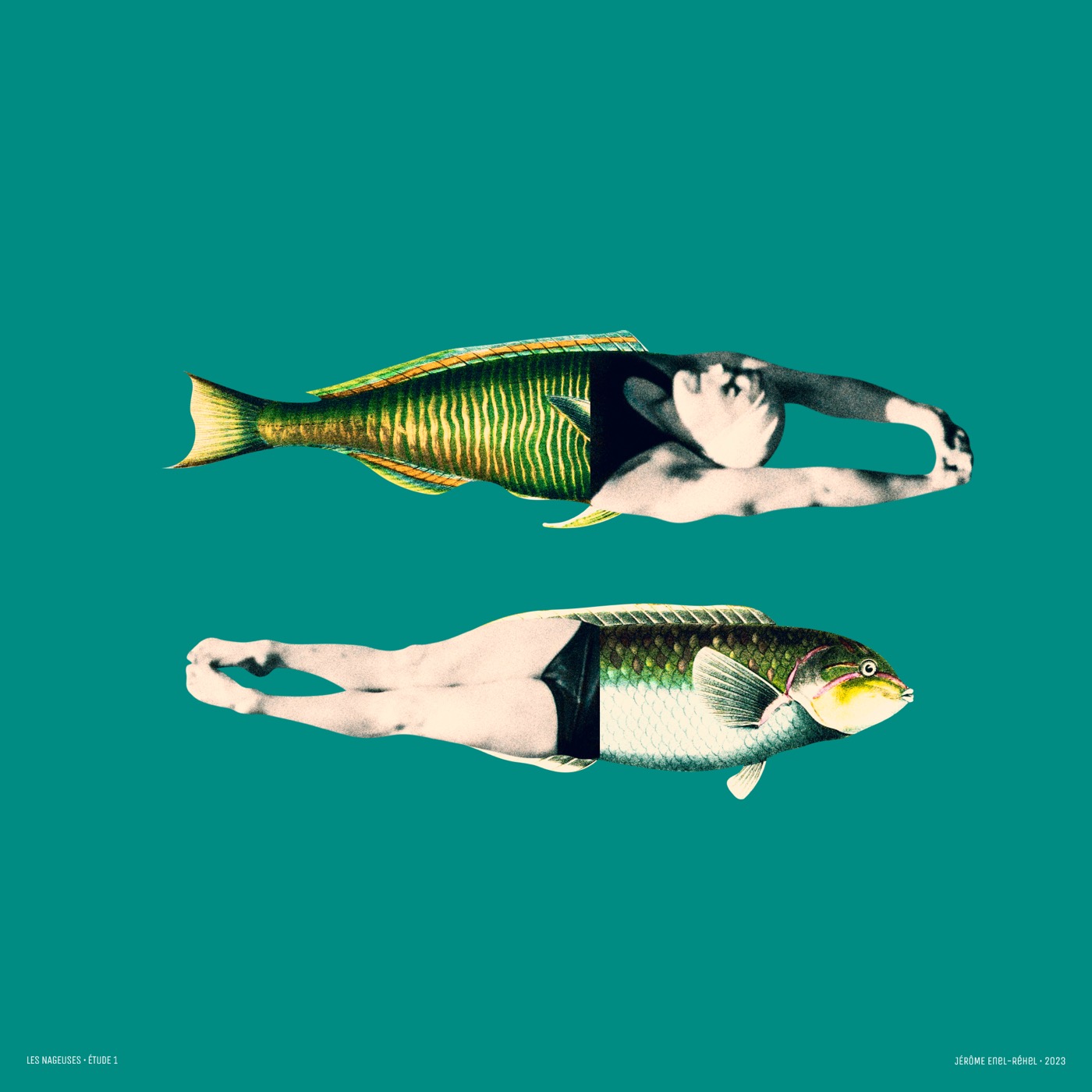 Les nageuses – Étude 1