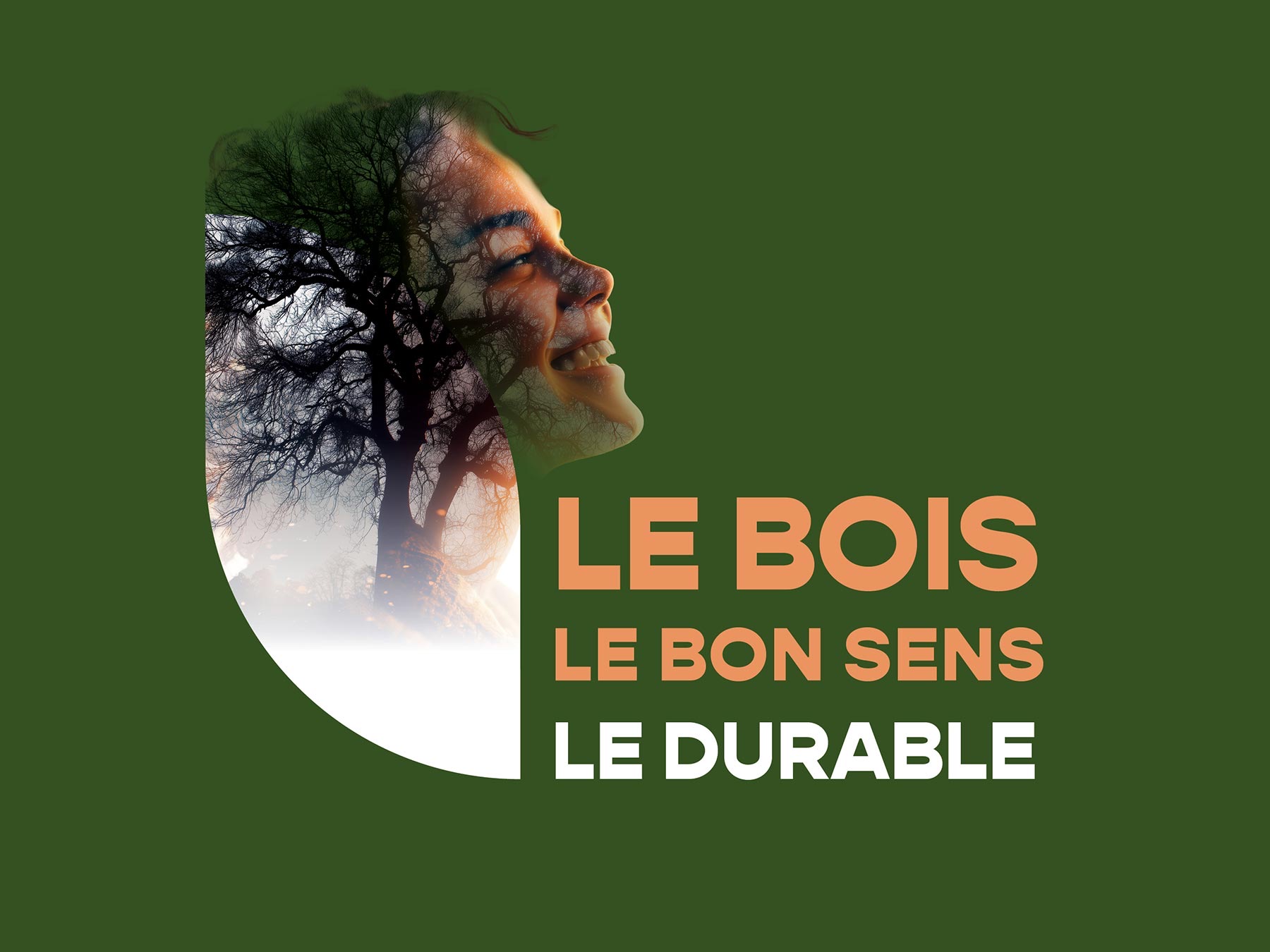 Maisons Naturéa, le bois, le bon sens, le durable, image 1