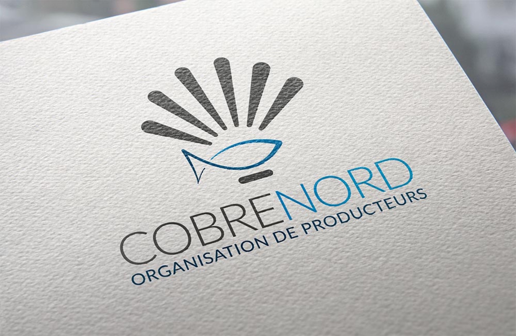 Logotype Cobrenord, image 1