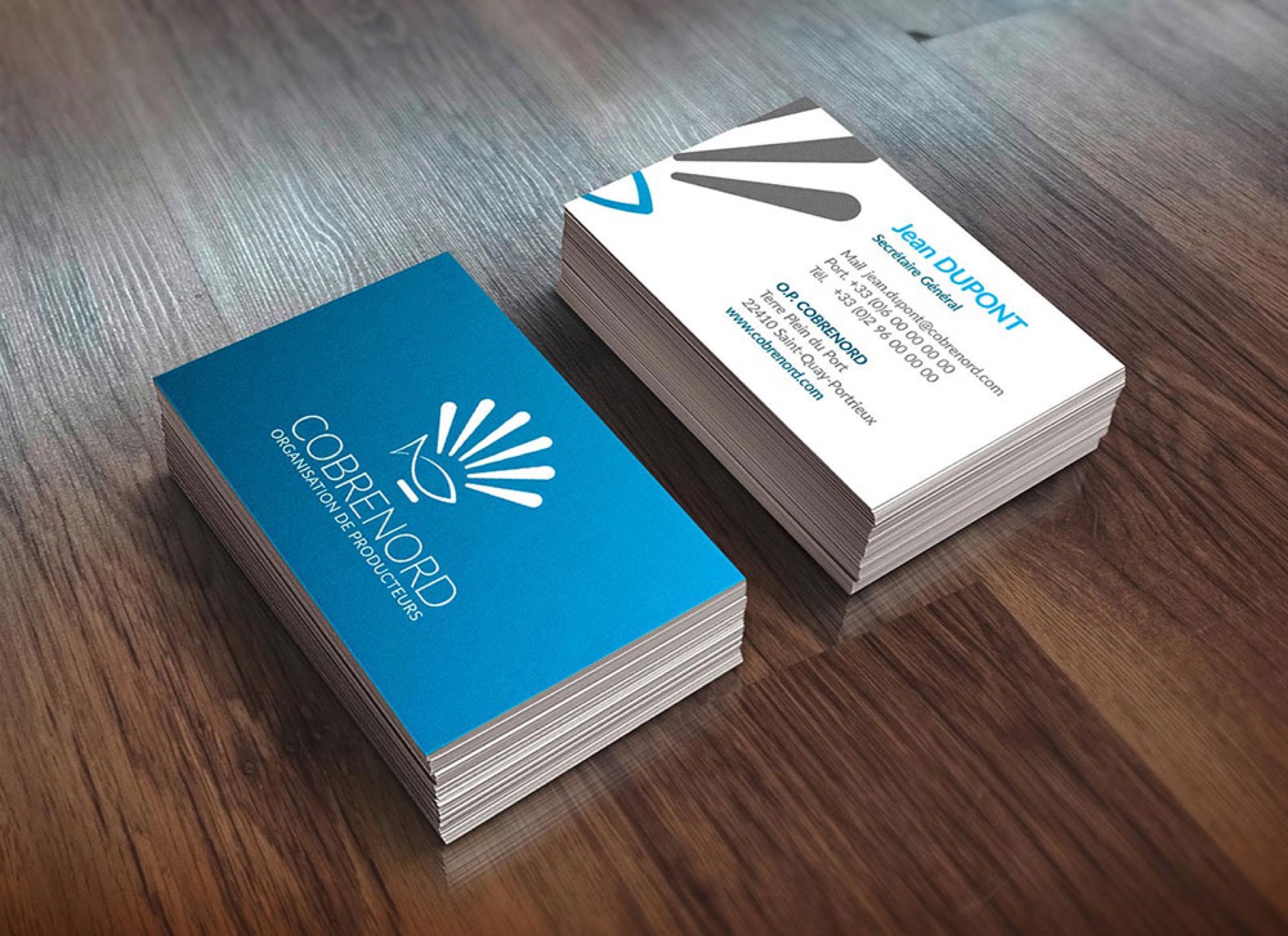 Logotype Cobrenord, image 3