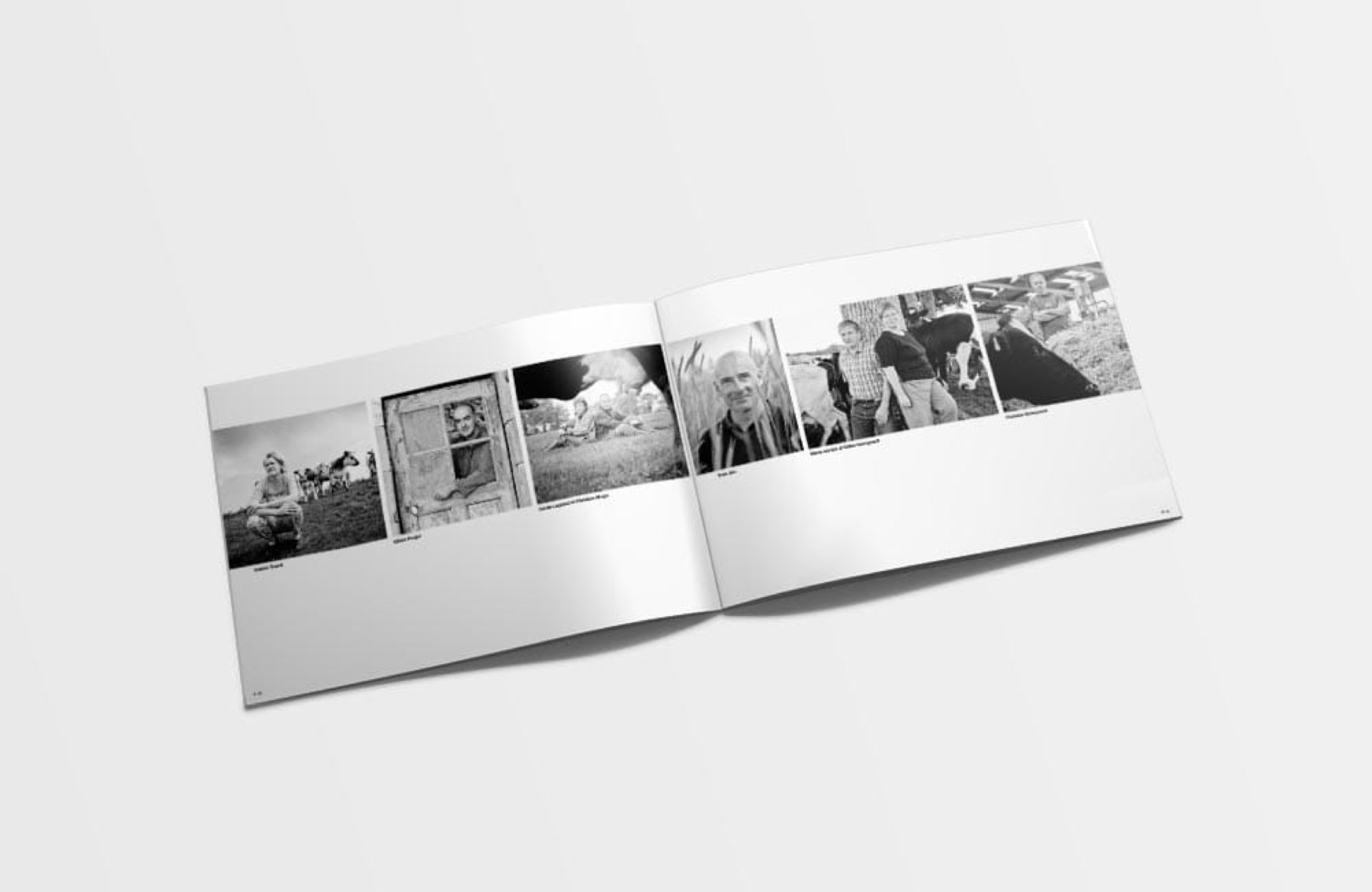 Livre photo « Vrai », image 3