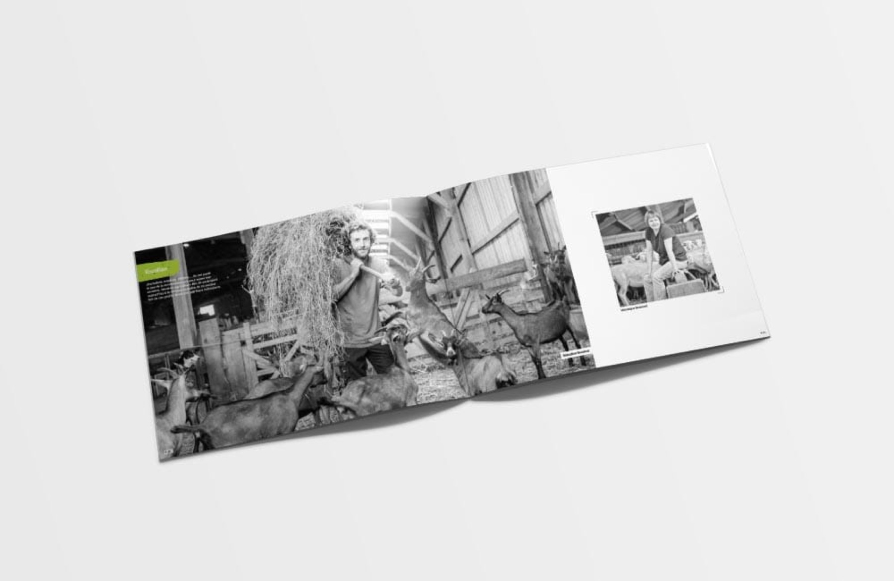 Livre photo « Vrai », image 4