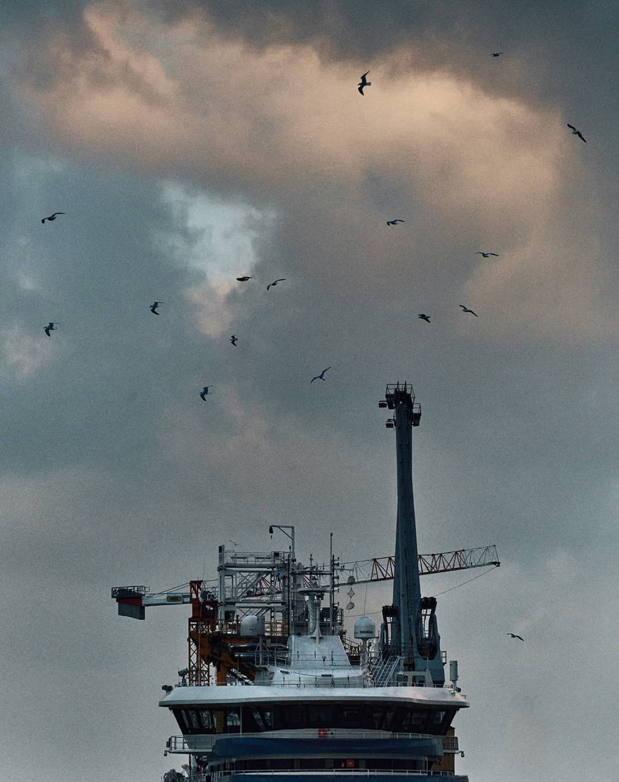 Boat and birds - Décembre 2024