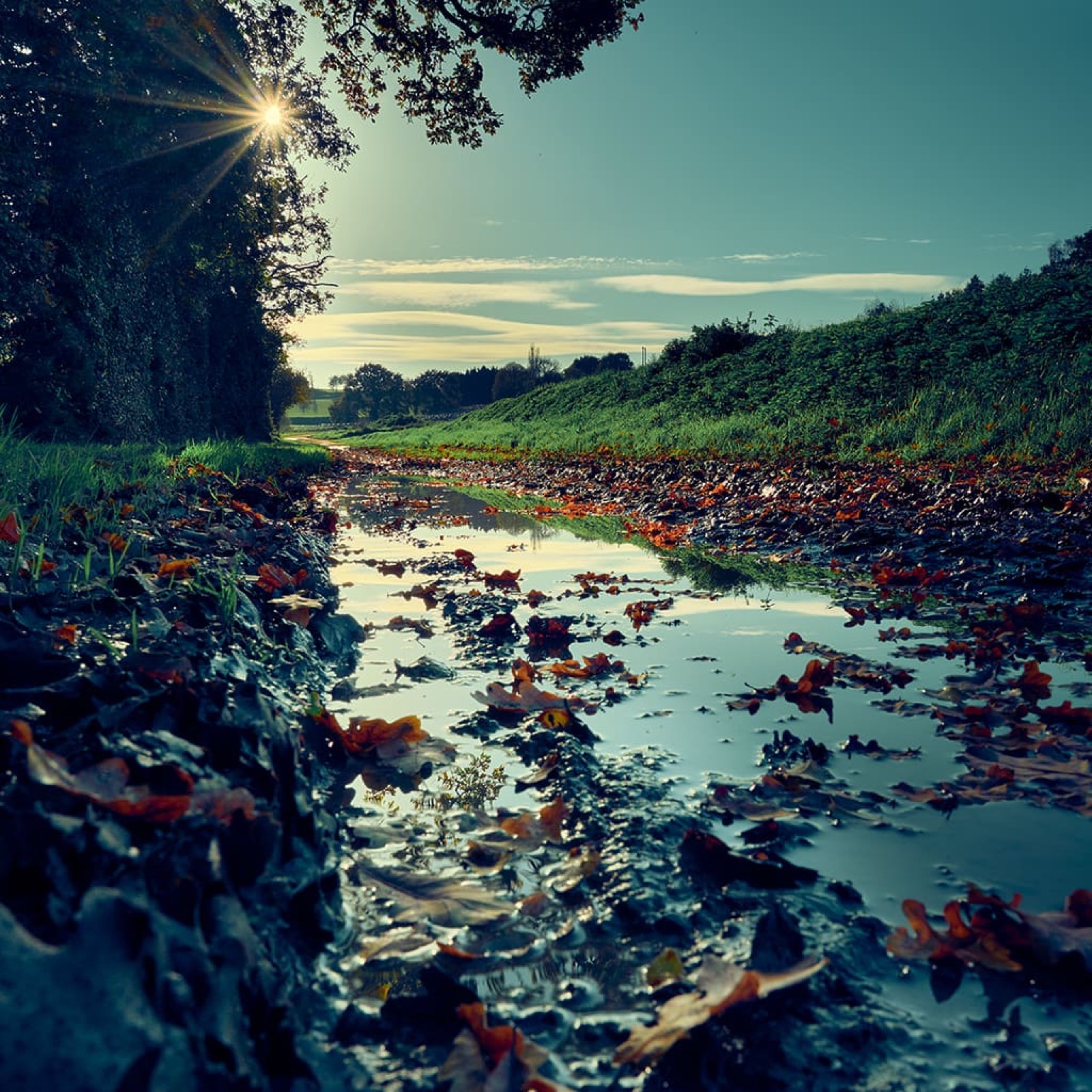 La campagne Mélorienne sous le soleil de l'automne 2020