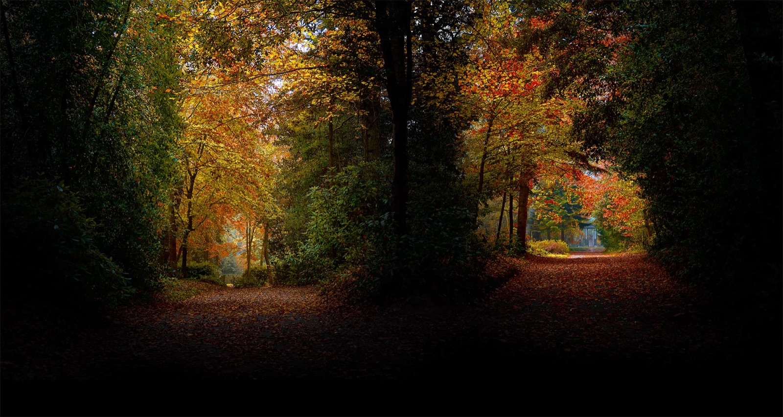 Le Parc de la Briantais - Novembre 2021