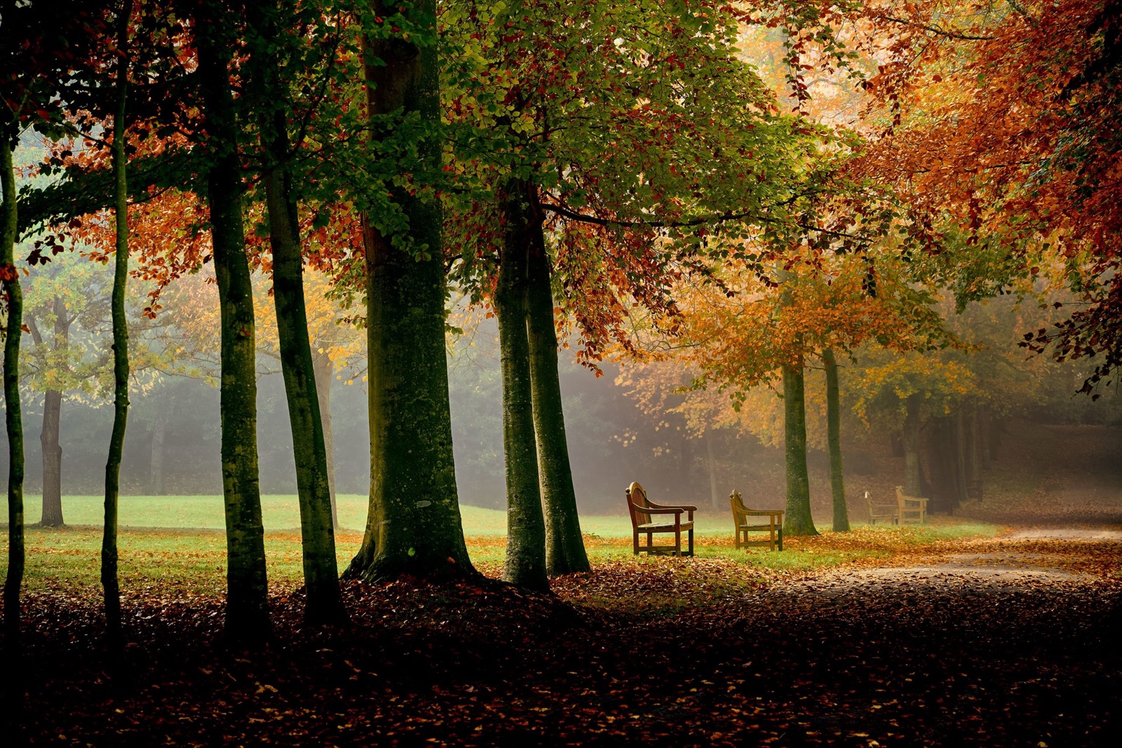 Le Parc de la Briantais - Novembre 2021
