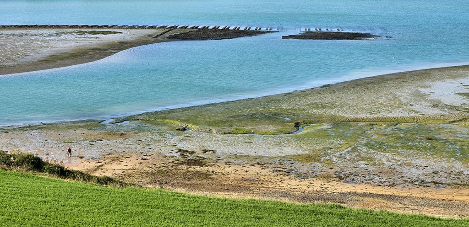 Le pêcheur à pied