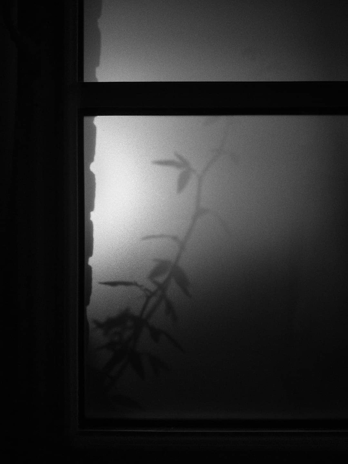 Nature - Décembre 2024
