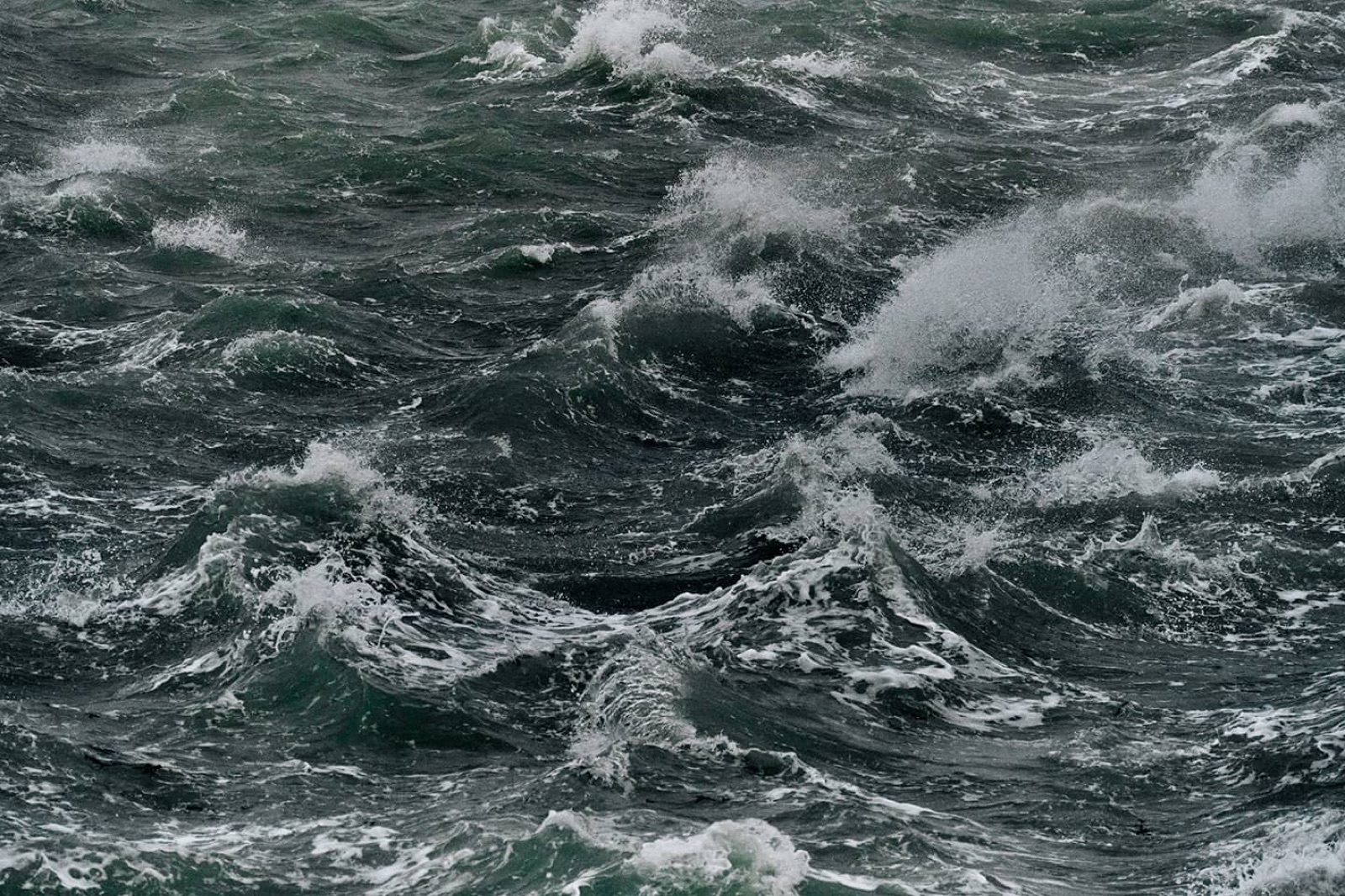 Tempête Darragh - Décembre 2024