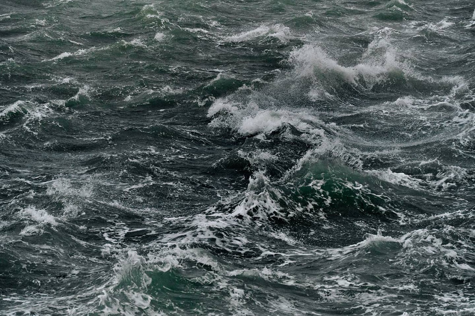 Tempête Darragh - Décembre 2024