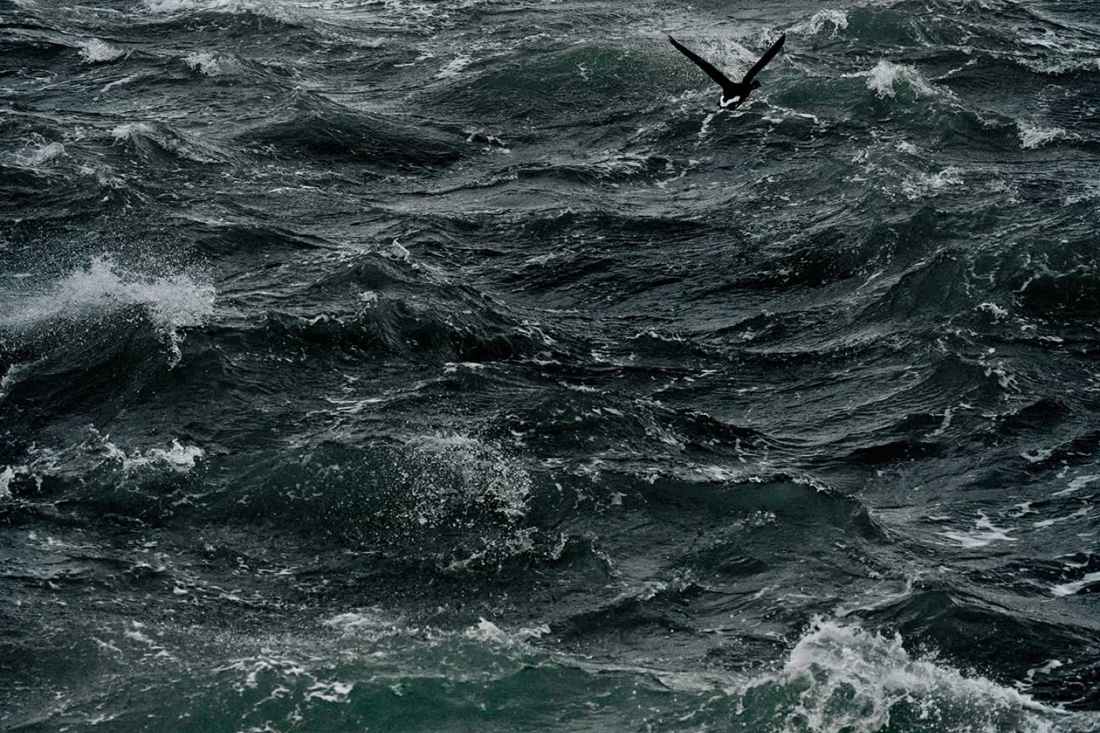 Tempête Darragh - Décembre 2024