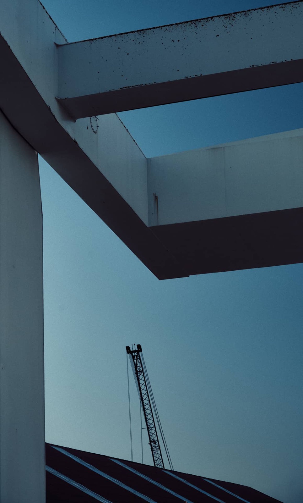 Une grue à l'horizon - Novembre 2024