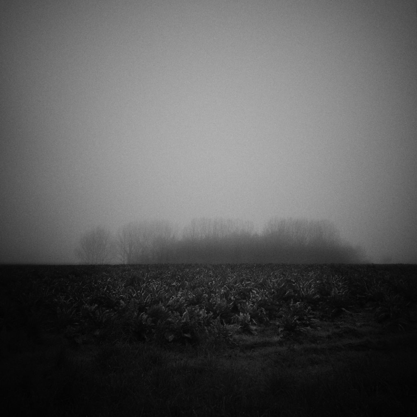 Au quotidien, image 04