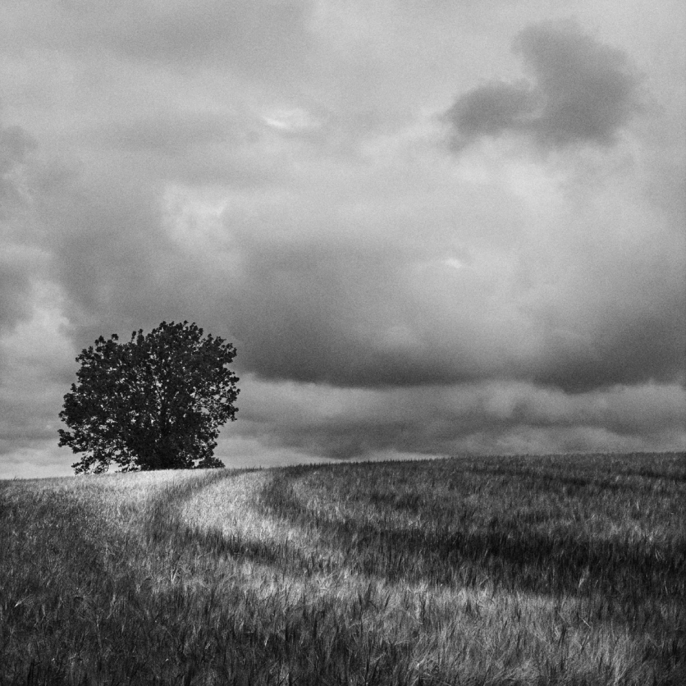 Au quotidien, image 08
