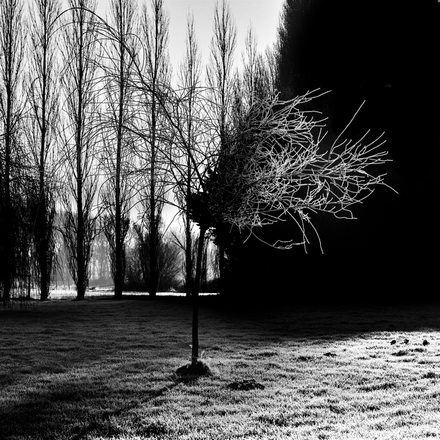 Au quotidien, image 09