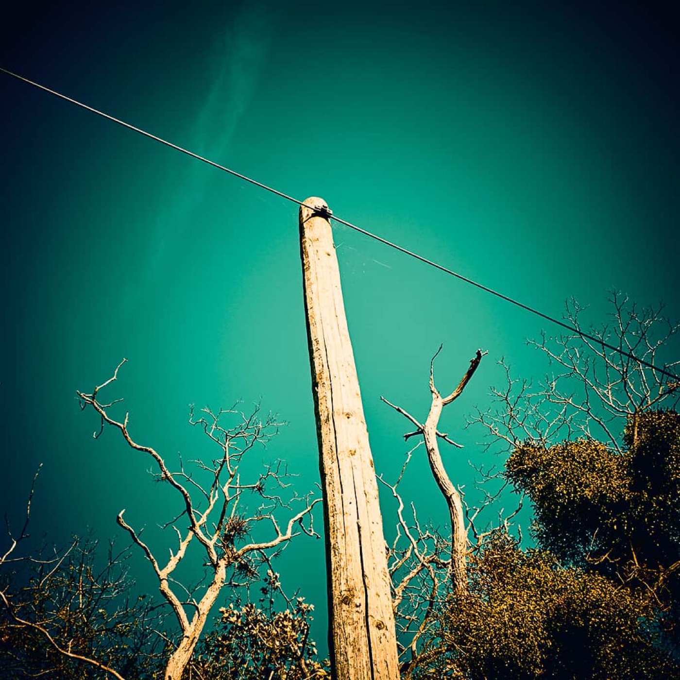 Automne, image 03