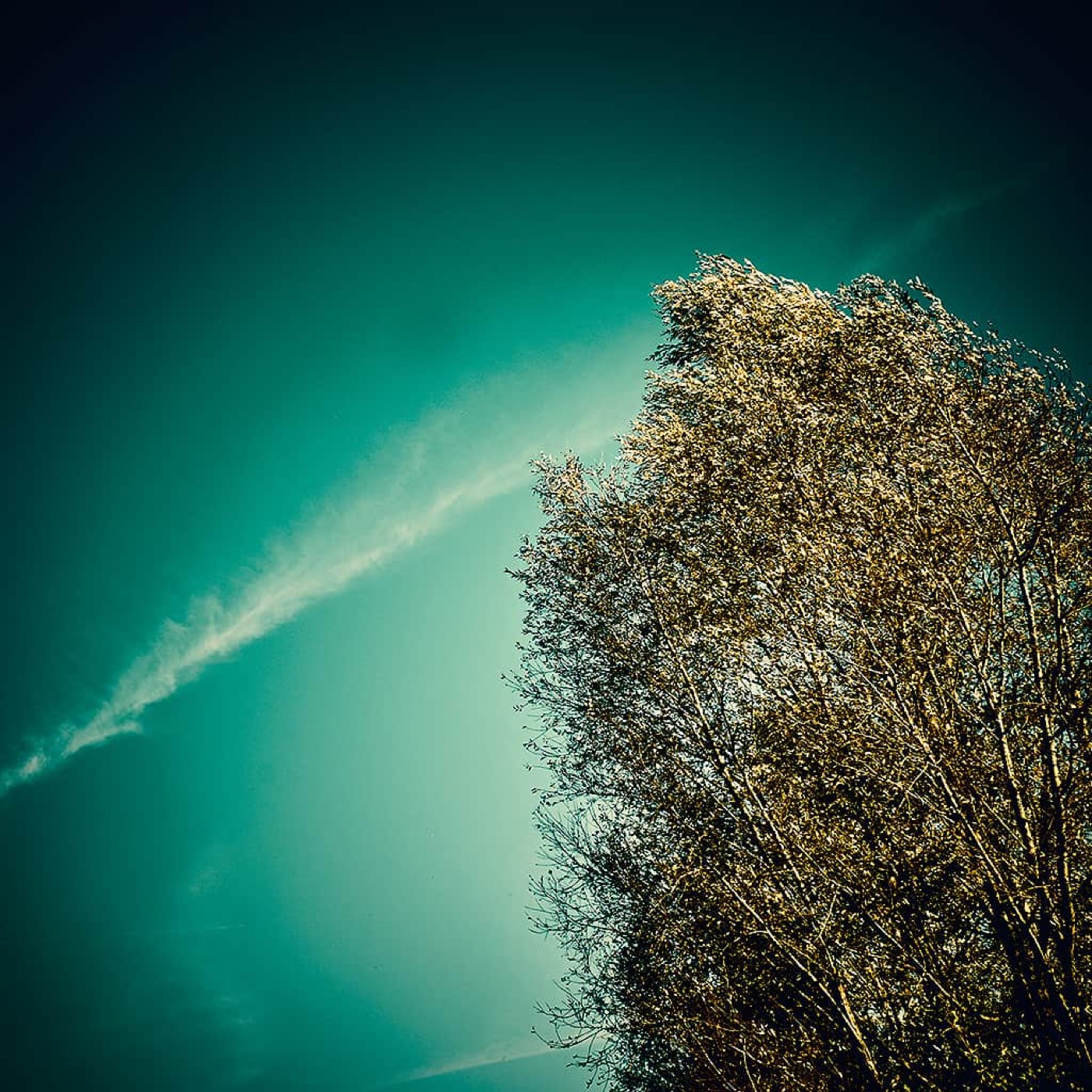 Automne, image 05