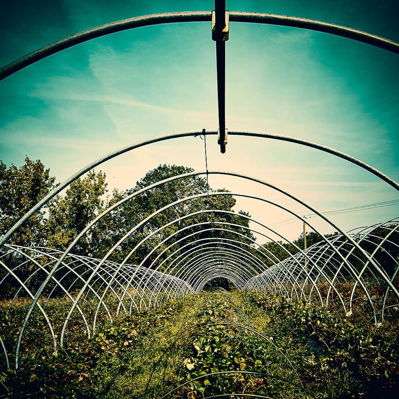 Automne, image 08