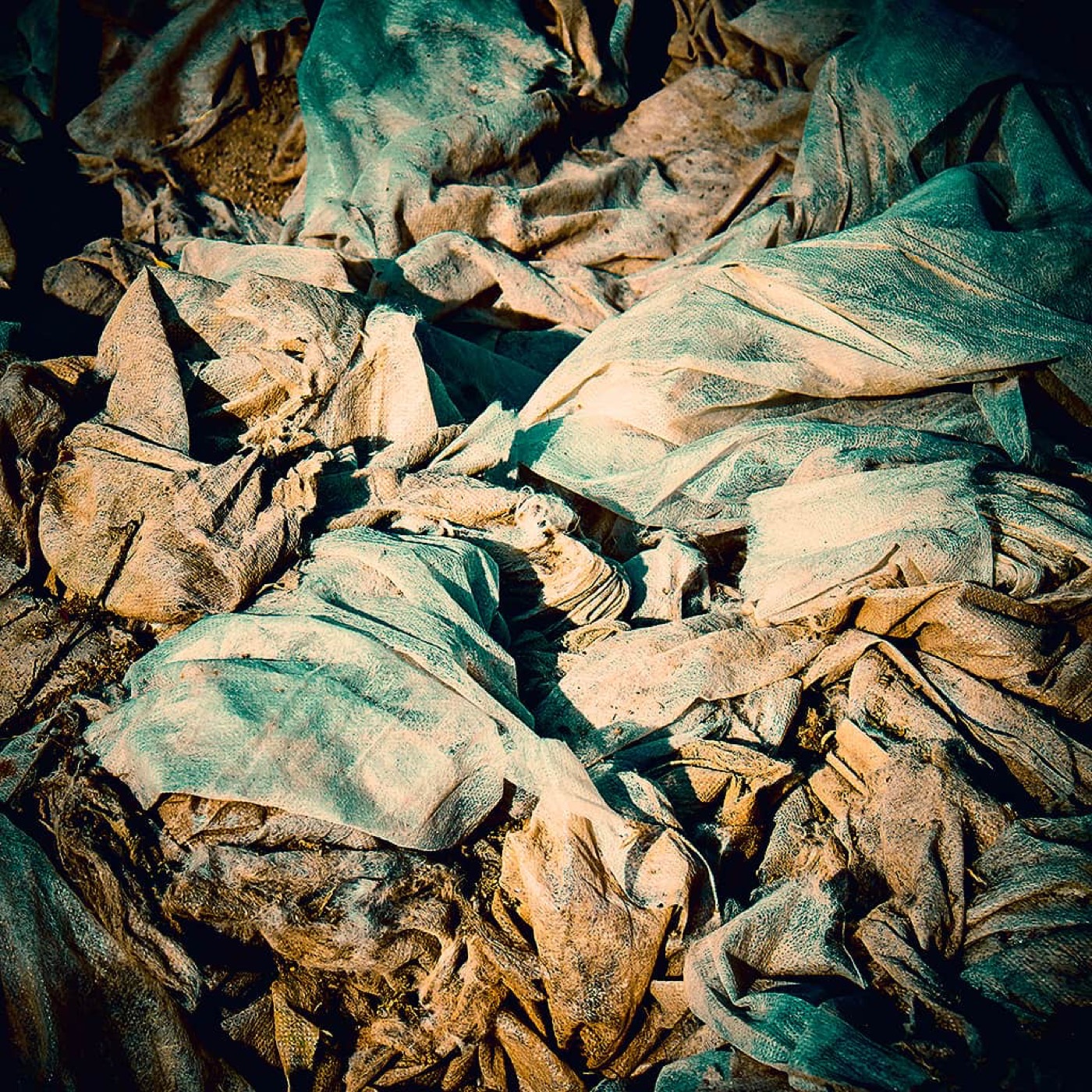Automne, image 09