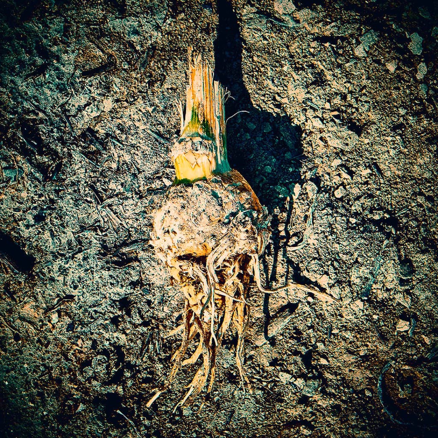 Automne, image 14