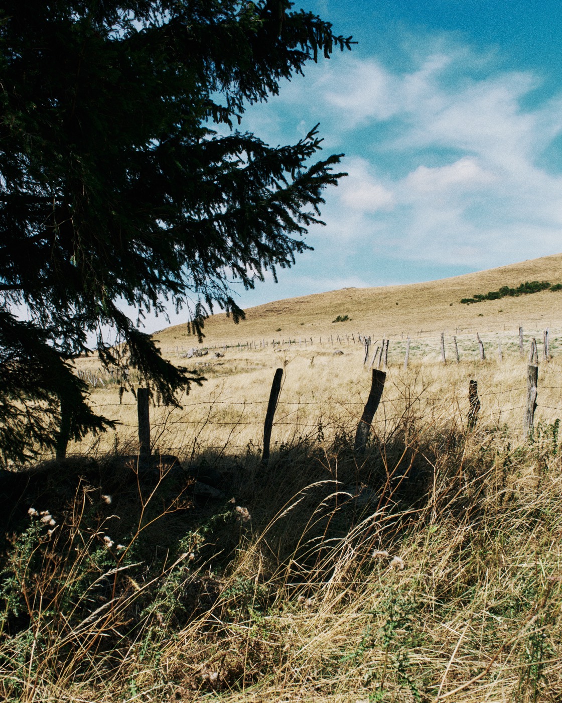 Auvergne, image 05