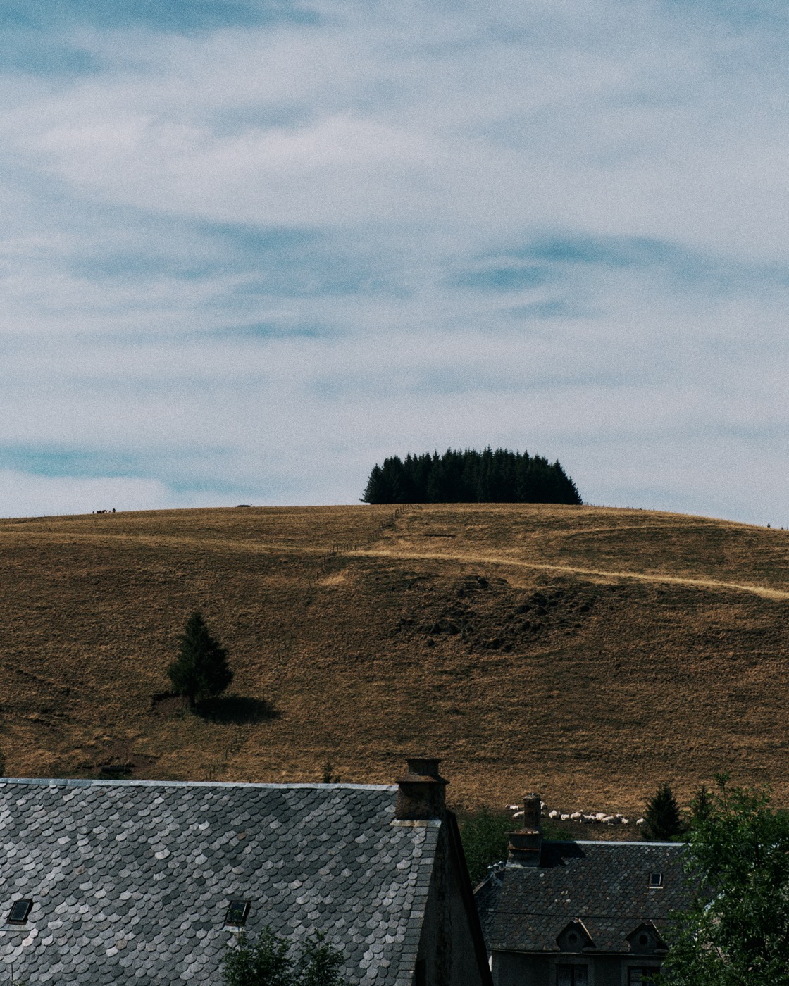 Auvergne, image 08