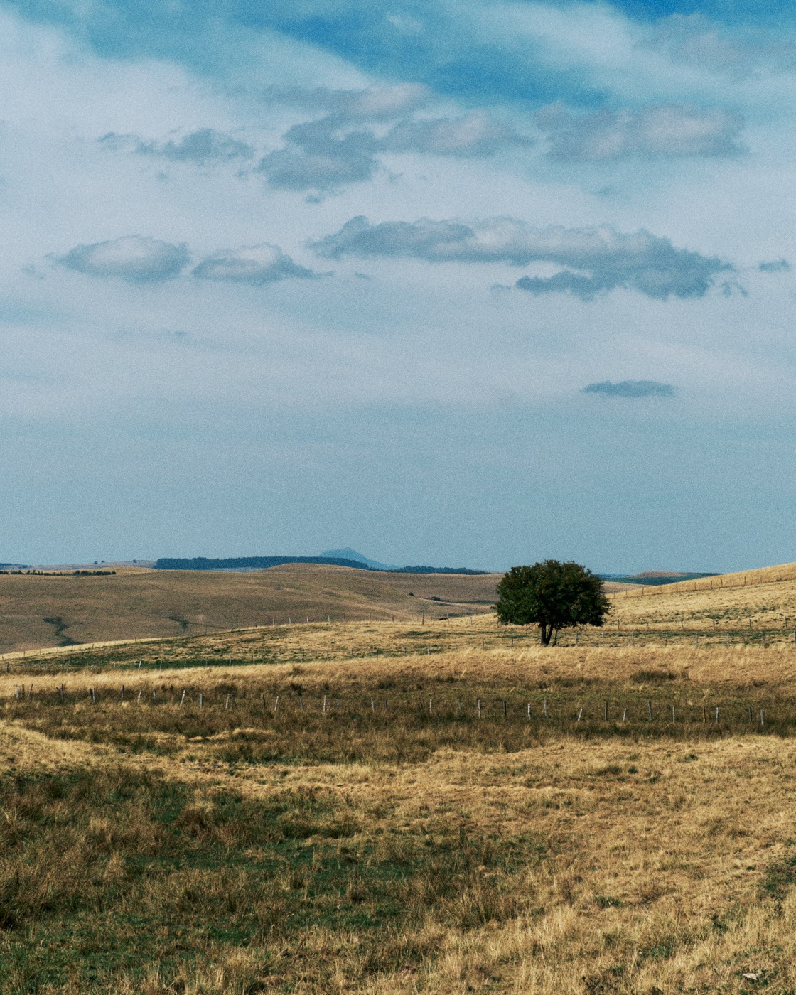 Auvergne, image 10