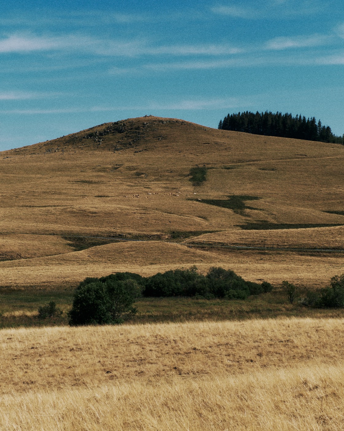 Auvergne, image 13