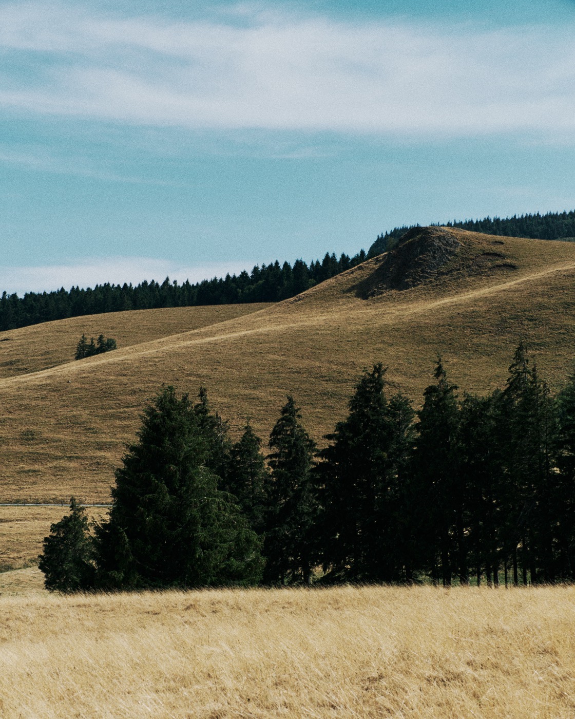 Auvergne, image 14