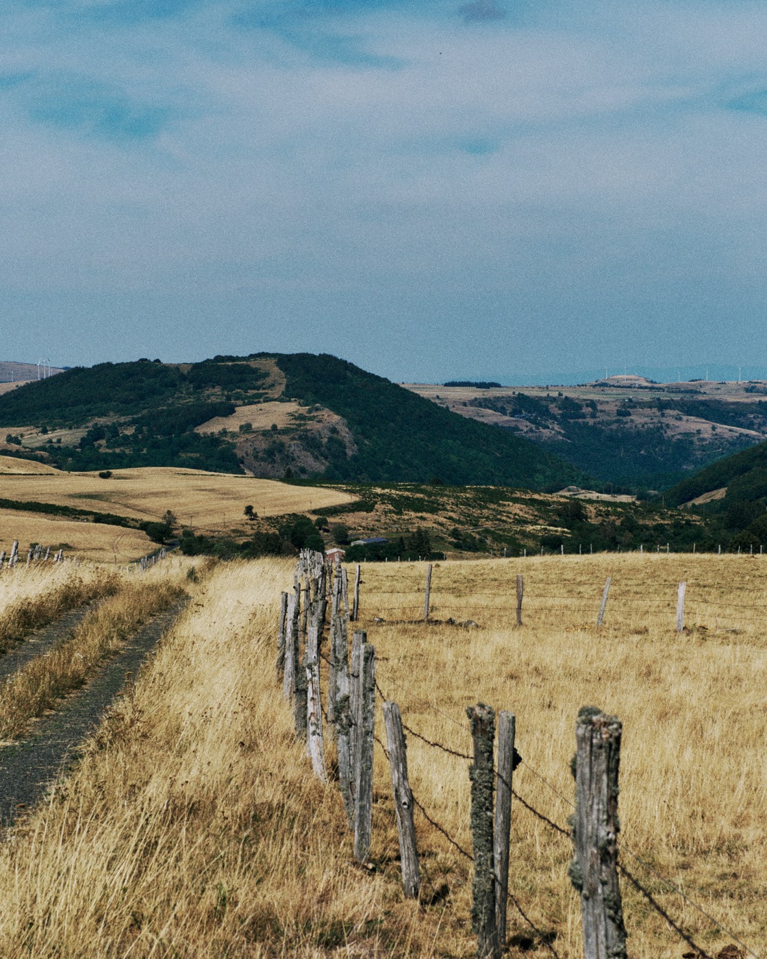 Auvergne, image 15