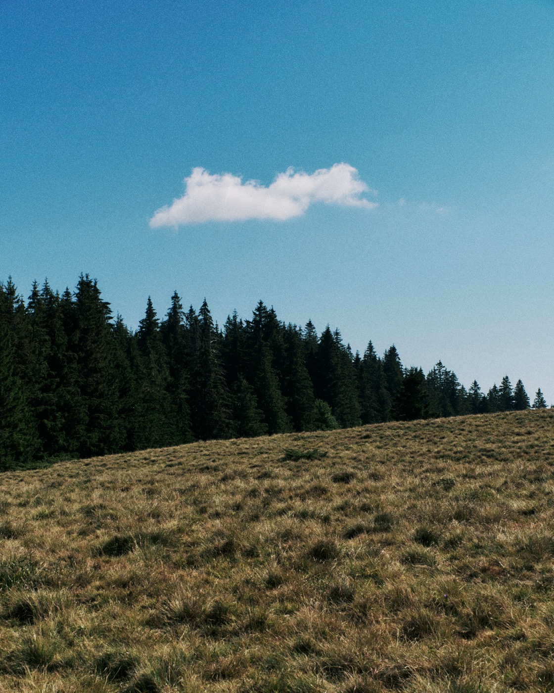 Auvergne, image 19