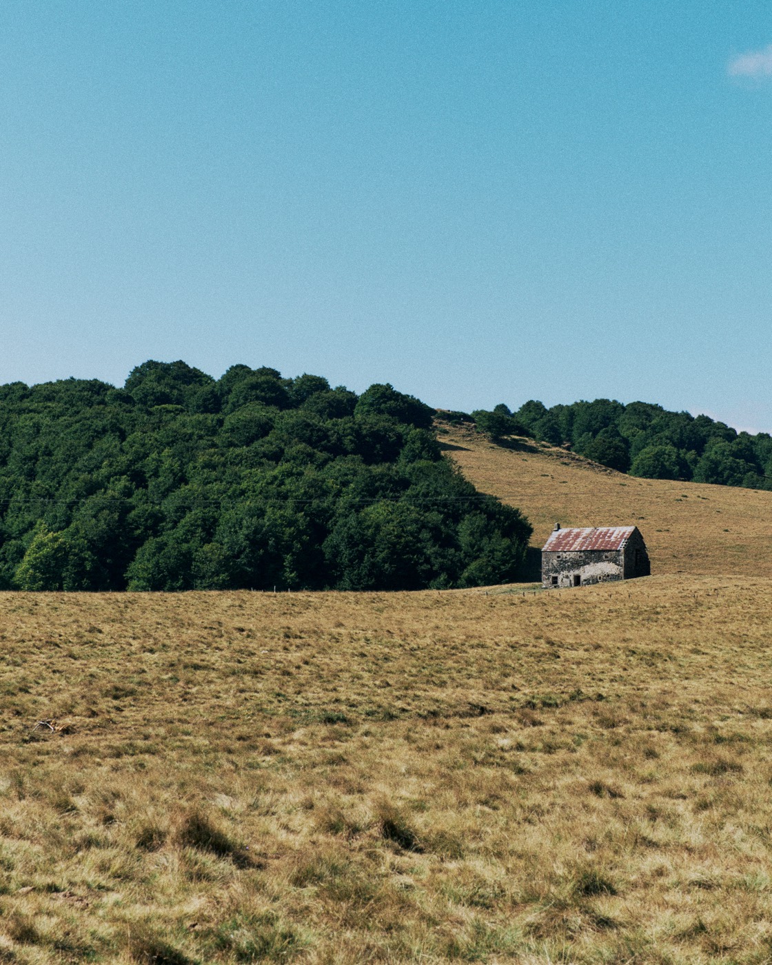 Auvergne, image 21