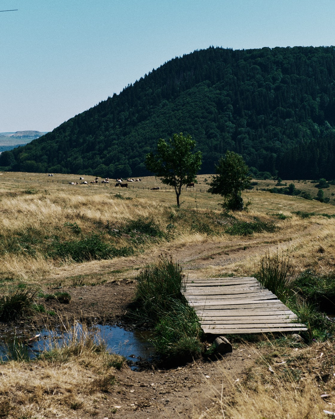 Auvergne, image 26