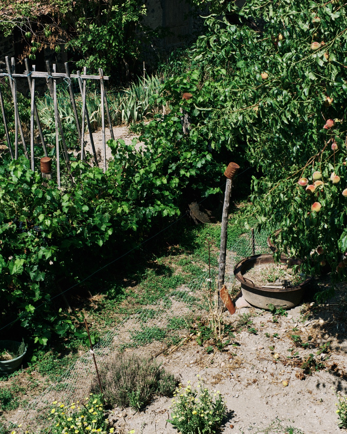 Auvergne, image 28