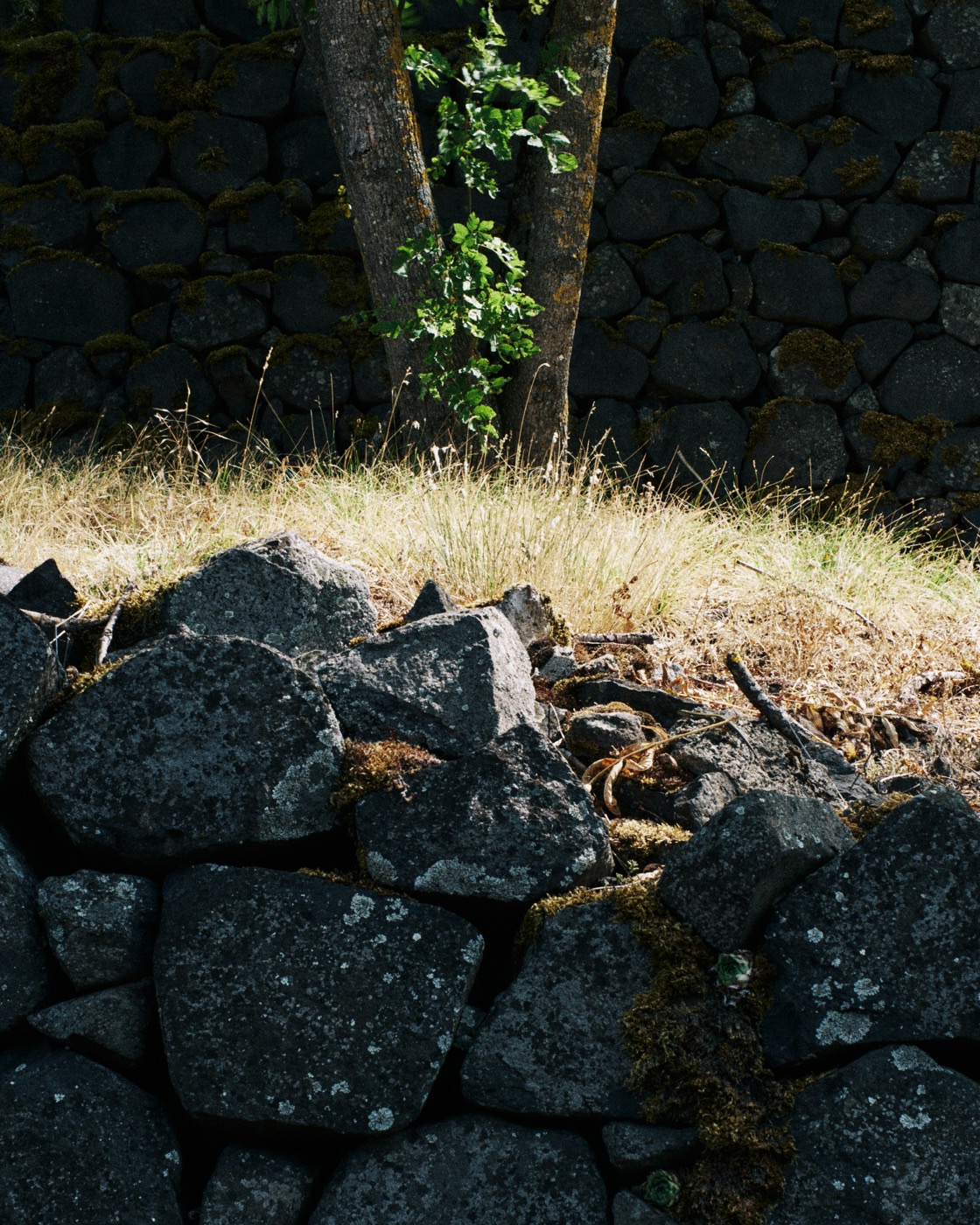 Auvergne, image 31