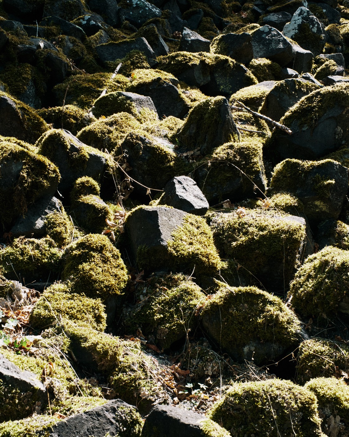 Auvergne, image 32
