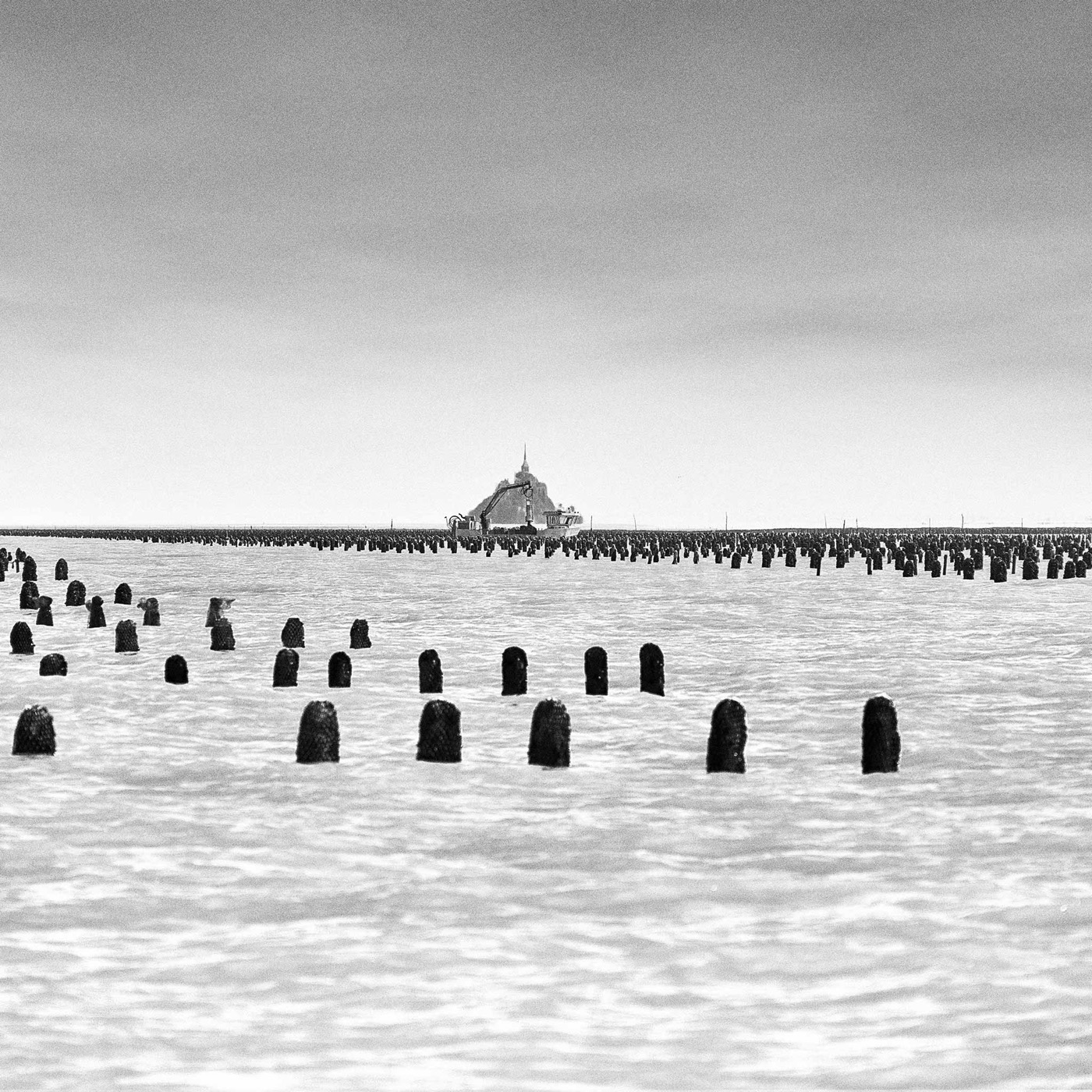 Dans la baie du Mont-Saint-Michel, image 01
