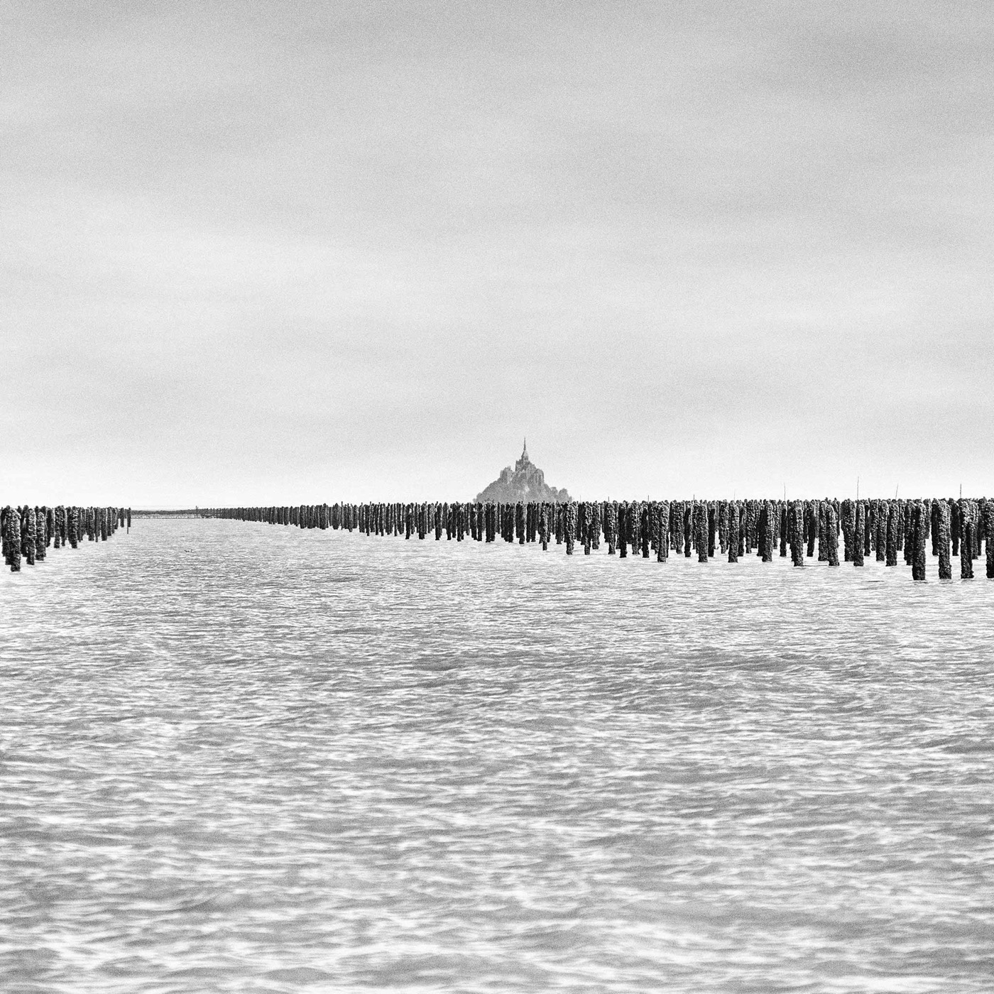 Dans la baie du Mont-Saint-Michel, image 09