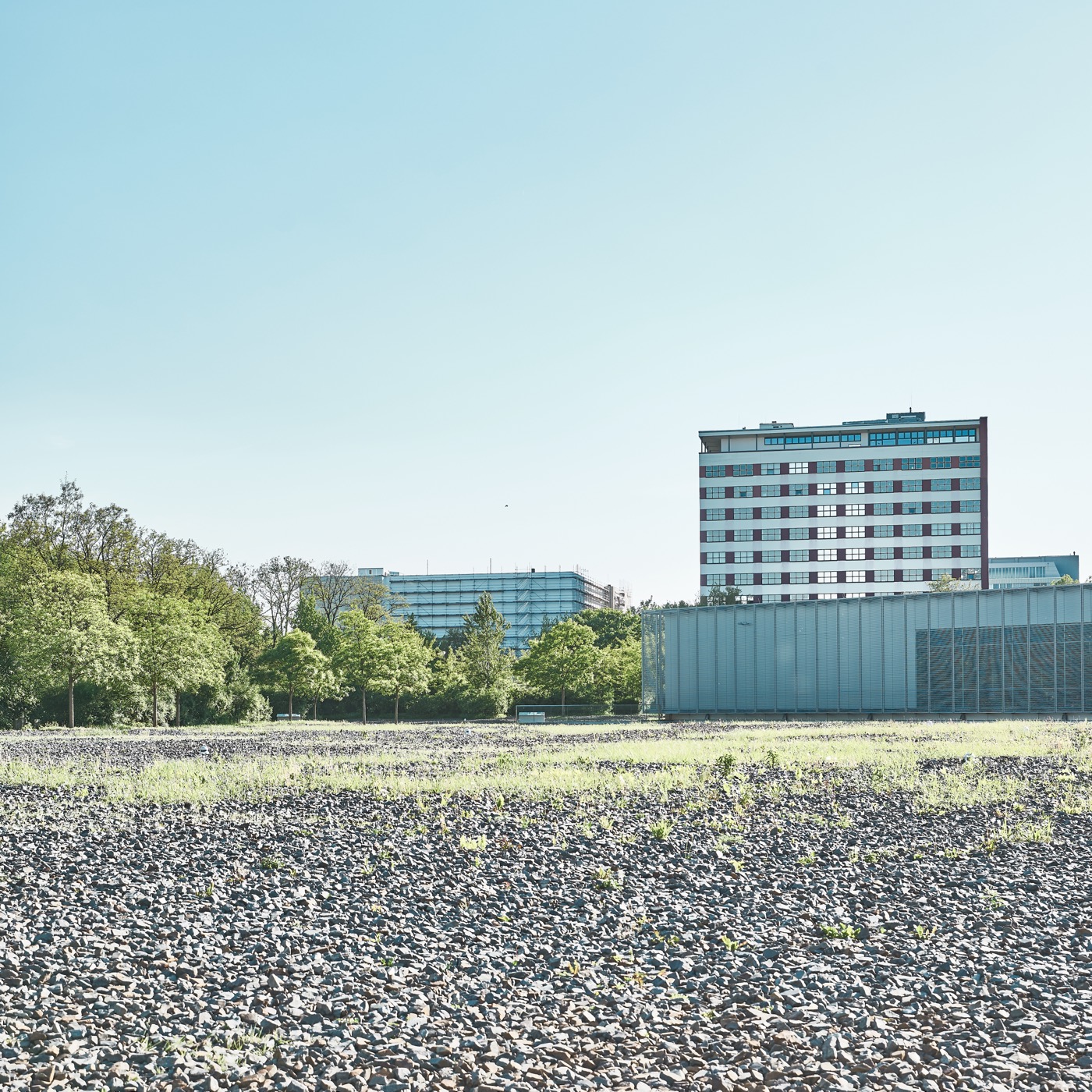 Berlin, image 15