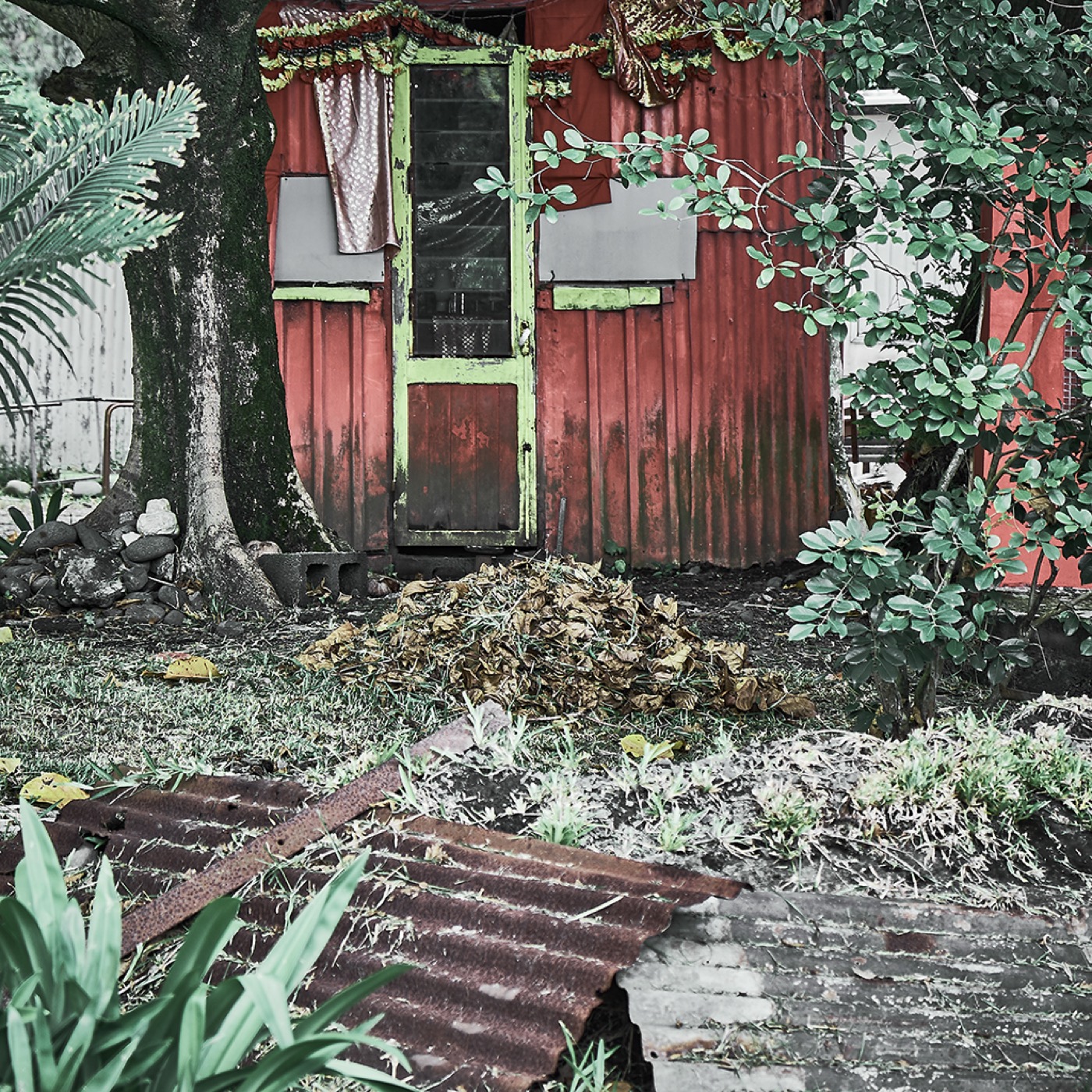 Île de La Réunion, image 01