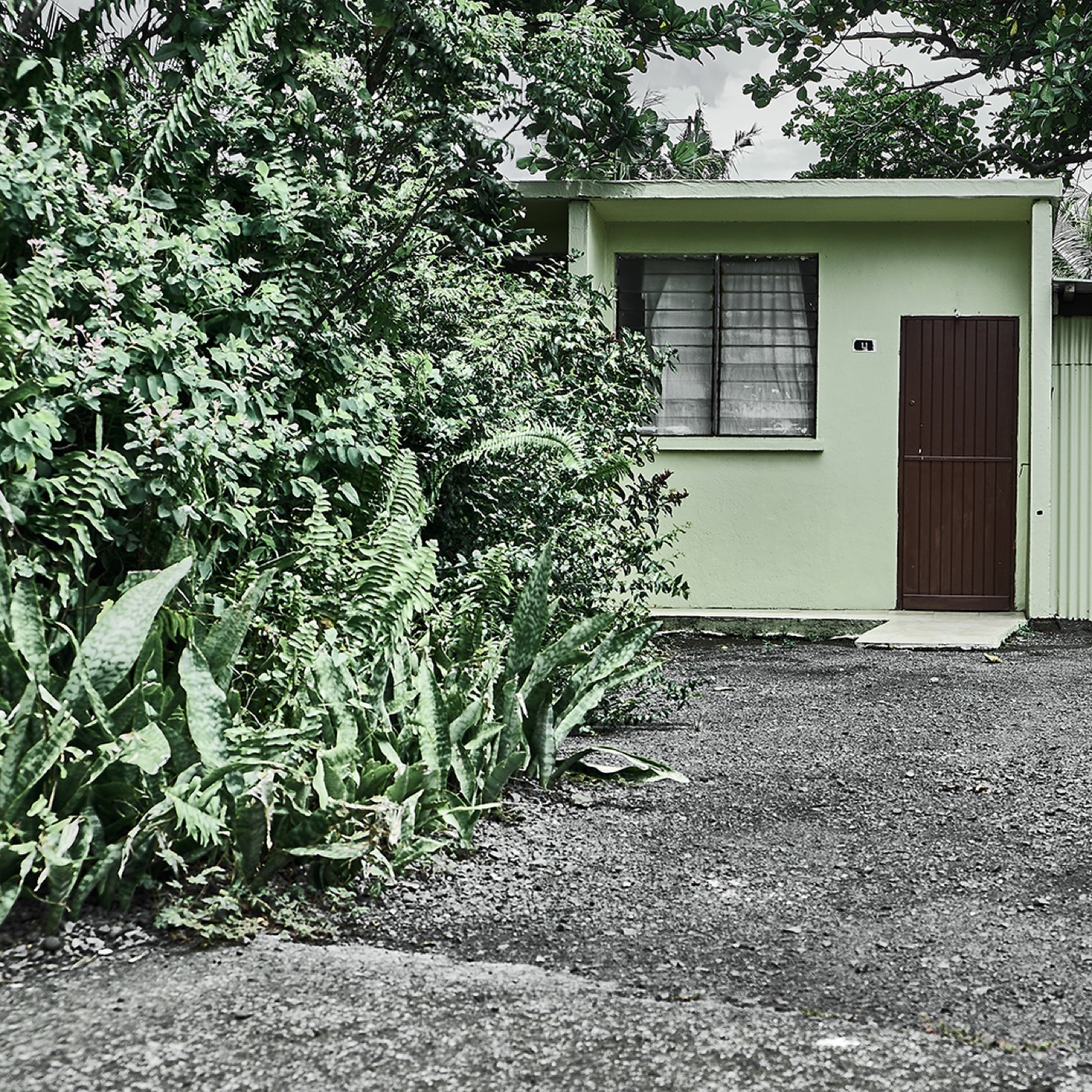 Île de La Réunion, image 02