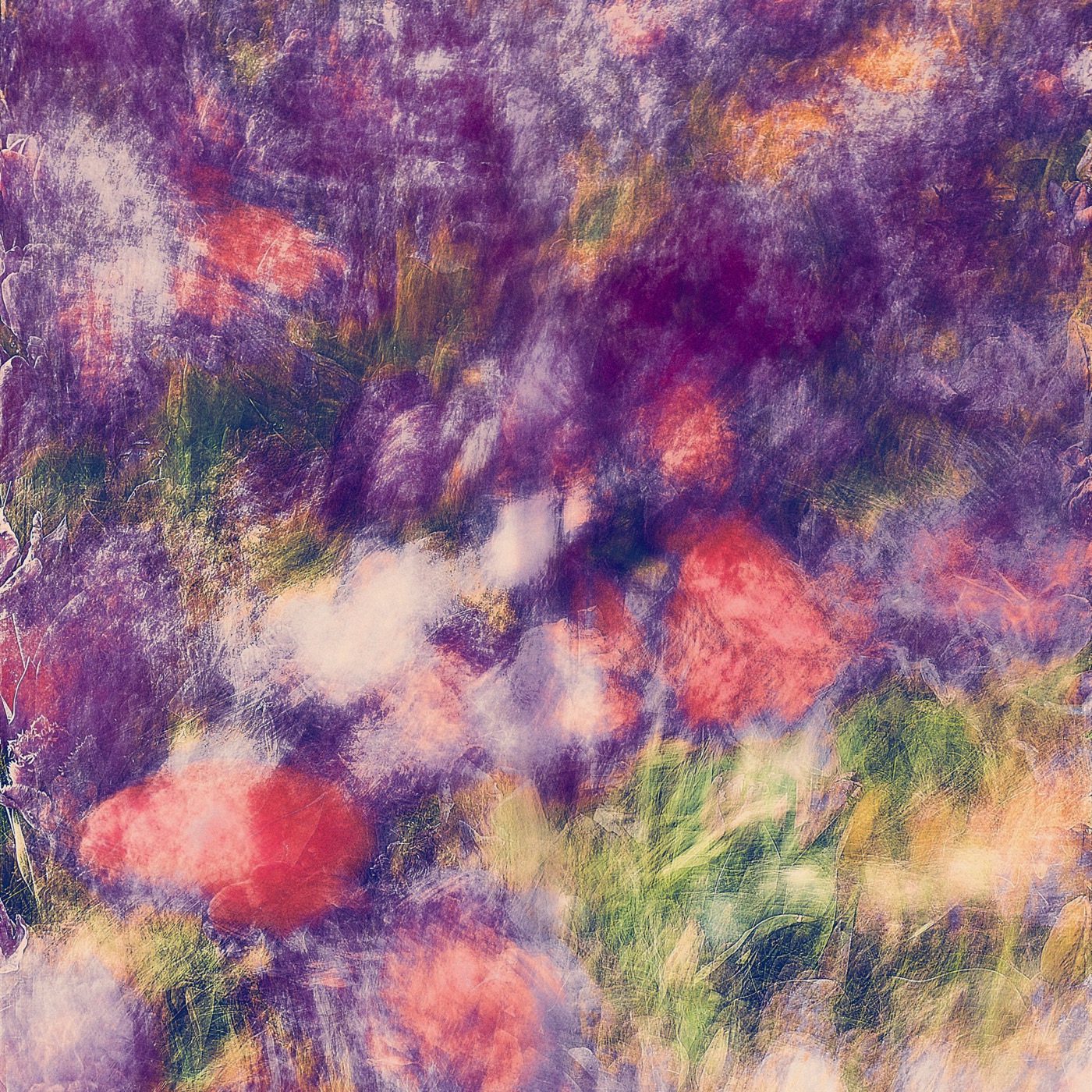 Keukenhof, image 01