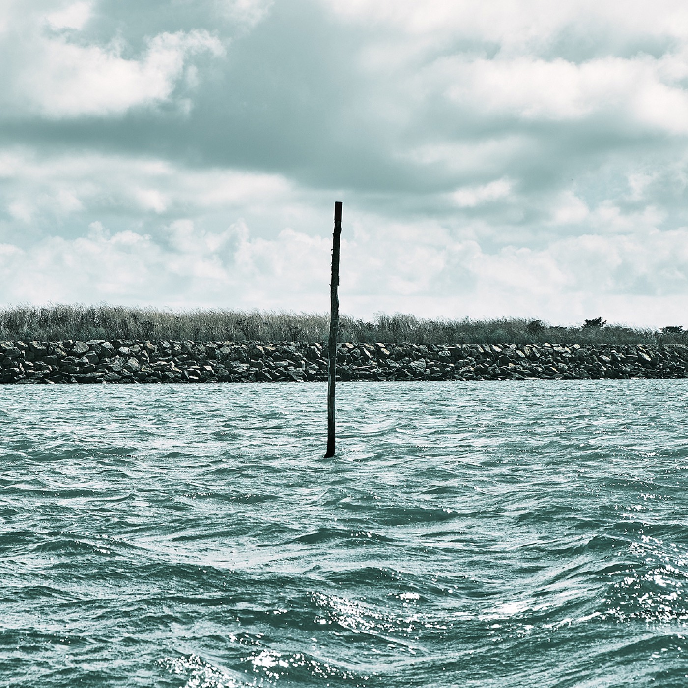 Noirmoutier, image 03
