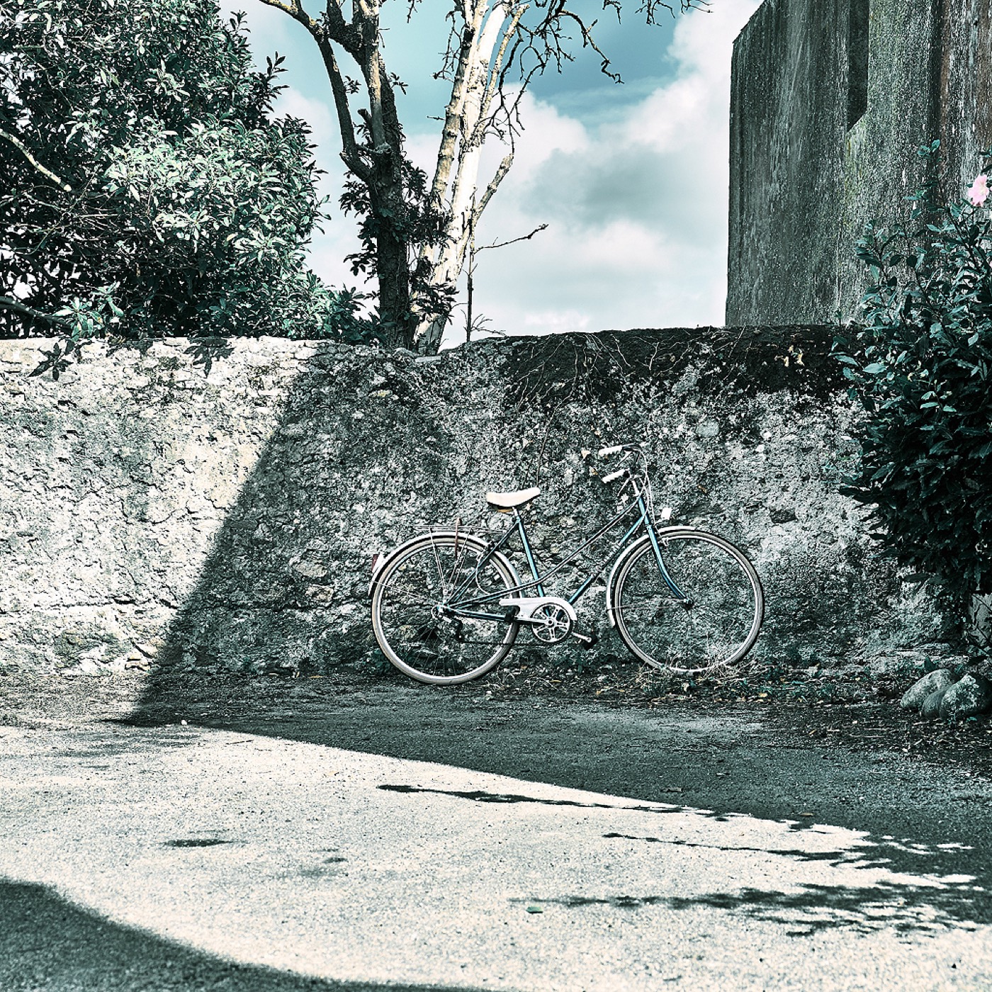Noirmoutier, image 06