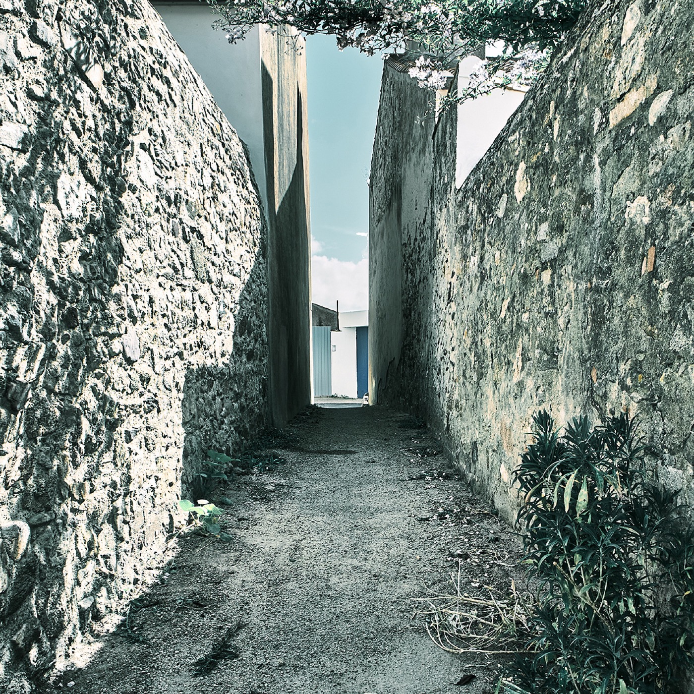 Noirmoutier, image 07